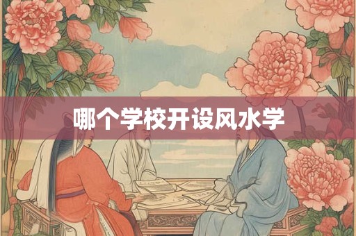 哪个学校开设风水学