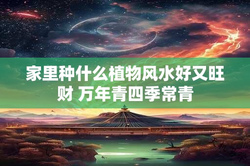 家里种什么植物风水好又旺财 万年青四季常青