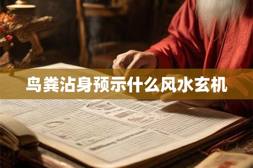 鸟粪沾身预示什么风水玄机