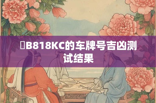 魯B818KC的车牌号吉凶测试结果