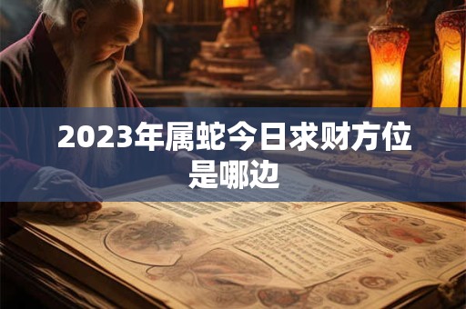 2023年属蛇今日求财方位是哪边