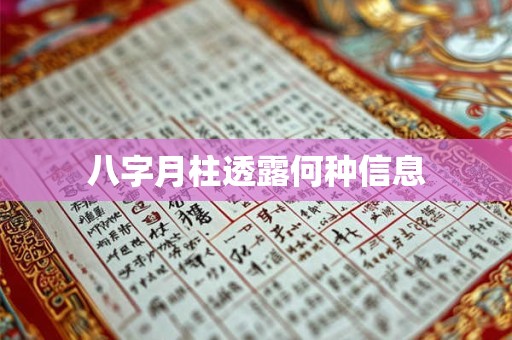 八字月柱透露何种信息