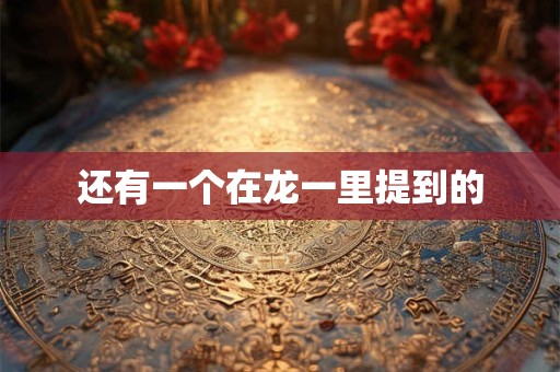 还有一个在龙一里提到的