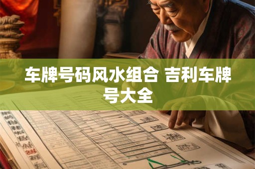 车牌号码风水组合 吉利车牌号大全