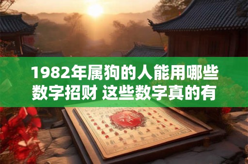 1982年属狗的人能用哪些数字招财 这些数字真的有效吗