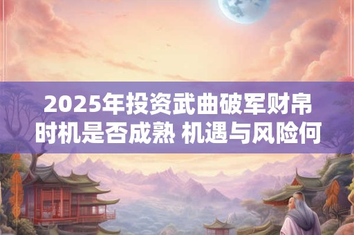 2025年投资武曲破军财帛时机是否成熟 机遇与风险何在