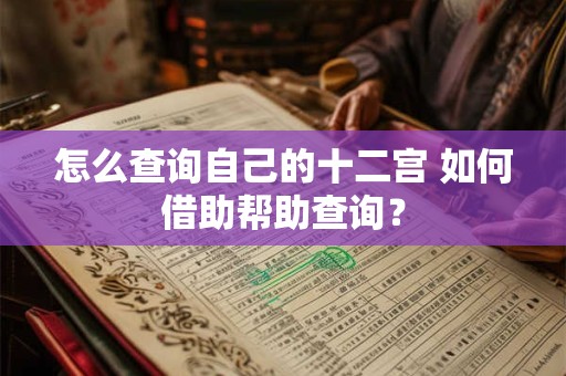 怎么查询自己的十二宫 如何借助帮助查询？