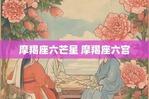摩羯座六芒星 摩羯座六宫