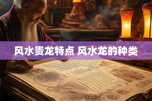 风水贵龙特点 风水龙的种类