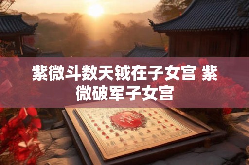 紫微斗数天钺在子女宫 紫微破军子女宫