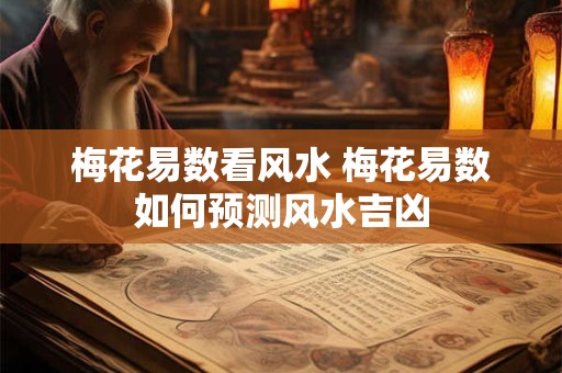 梅花易数看风水 梅花易数如何预测风水吉凶 梅花易数看风水 梅花易数如何预测风水吉凶