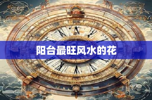 阳台最旺风水的花