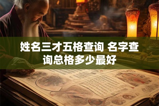 姓名三才五格查询 名字查询总格多少最好