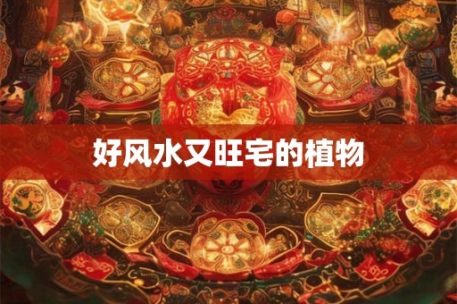 好风水又旺宅的植物
