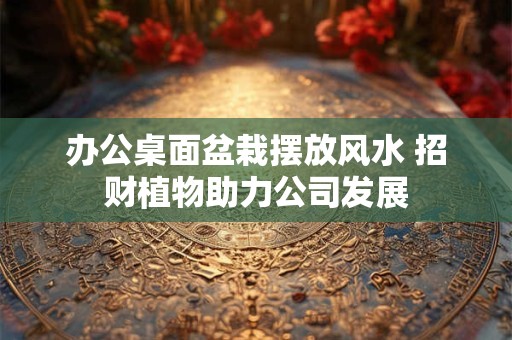 办公桌面盆栽摆放风水 招财植物助力公司发展