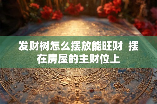 发财树怎么摆放能旺财  摆在房屋的主财位上