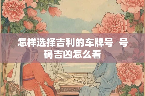 怎样选择吉利的车牌号  号码吉凶怎么看