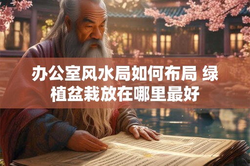 办公室风水局如何布局 绿植盆栽放在哪里最好