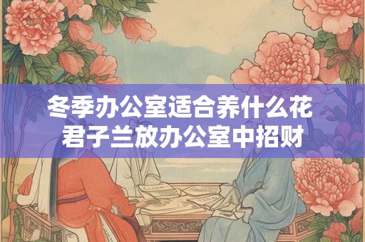 冬季办公室适合养什么花 君子兰放办公室中招财