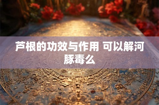 芦根的功效与作用 可以解河豚毒么