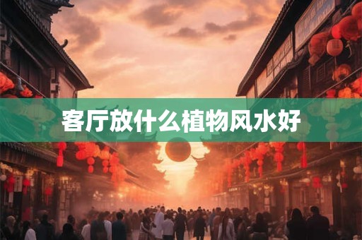 客厅放什么植物风水好