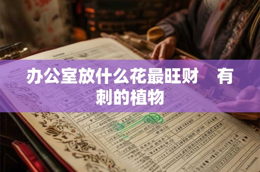 办公室放什么花最旺财    有刺的植物