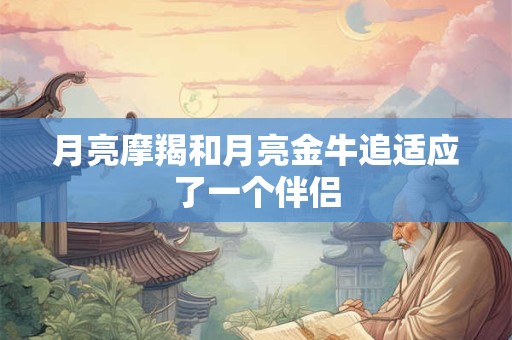 月亮摩羯和月亮金牛追适应了一个伴侣