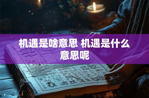 机遇是啥意思 机遇是什么意思呢