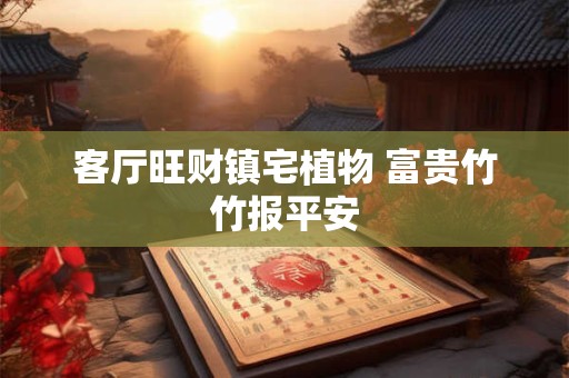 客厅旺财镇宅植物 富贵竹竹报平安