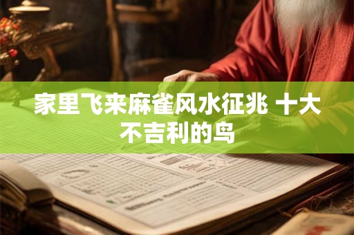 家里飞来麻雀风水征兆 十大不吉利的鸟