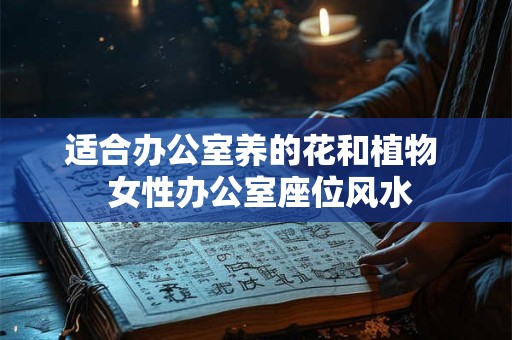 适合办公室养的花和植物  女性办公室座位风水