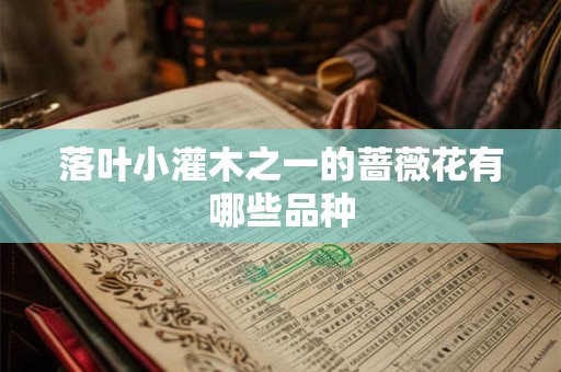 落叶小灌木之一的蔷薇花有哪些品种