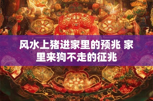 风水上猪进家里的预兆 家里来狗不走的征兆