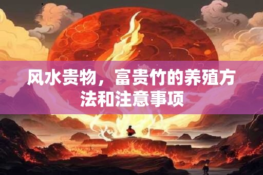风水贵物，富贵竹的养殖方法和注意事项