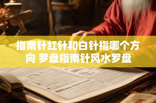 指南针红针和白针指哪个方向 罗盘指南针风水罗盘