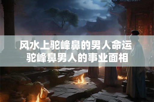 风水上驼峰鼻的男人命运 驼峰鼻男人的事业面相 风水上驼峰鼻的男人命运 驼峰鼻男人的事业面相