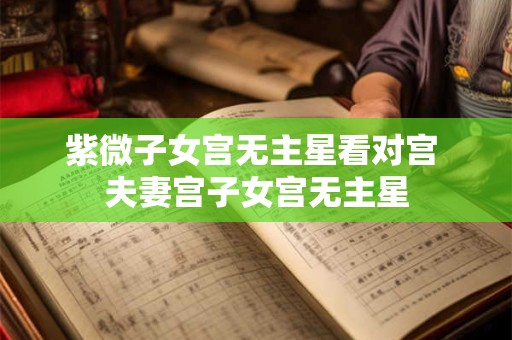 紫微子女宫无主星看对宫 夫妻宫子女宫无主星