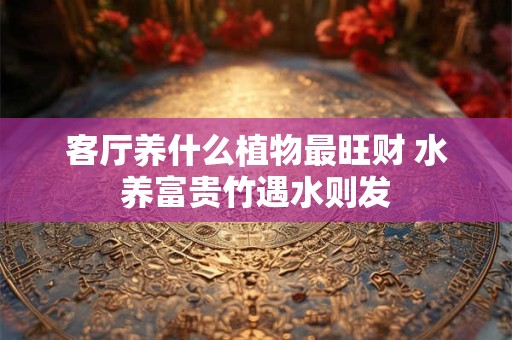 客厅养什么植物最旺财 水养富贵竹遇水则发