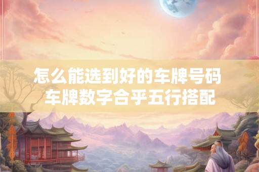 怎么能选到好的车牌号码 车牌数字合乎五行搭配