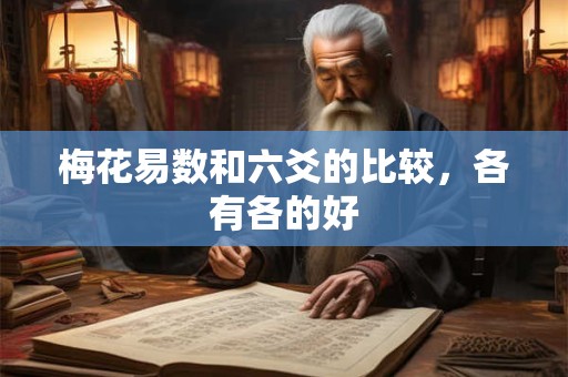 梅花易数和六爻的比较，各有各的好
