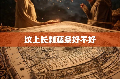 坟上长刺藤条好不好