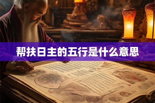 帮扶日主的五行是什么意思
