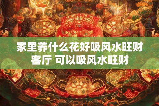 家里养什么花好吸风水旺财客厅 可以吸风水旺财