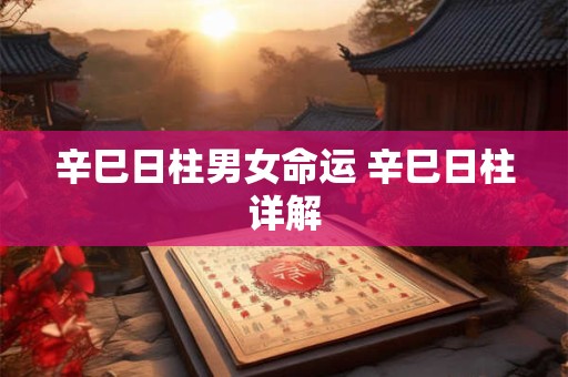 辛巳日柱男女命运 辛巳日柱详解
