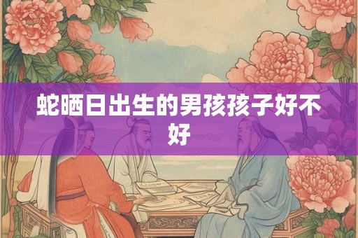 蛇晒日出生的男孩孩子好不好