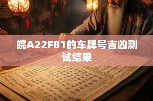 皖A22FB1的车牌号吉凶测试结果