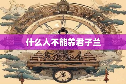 什么人不能养君子兰