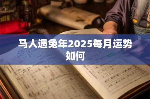 马人遇兔年2025每月运势如何