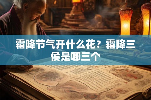 镇宅摆件有哪些 应该放什么位置
