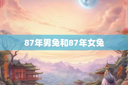 87年男兔和87年女兔